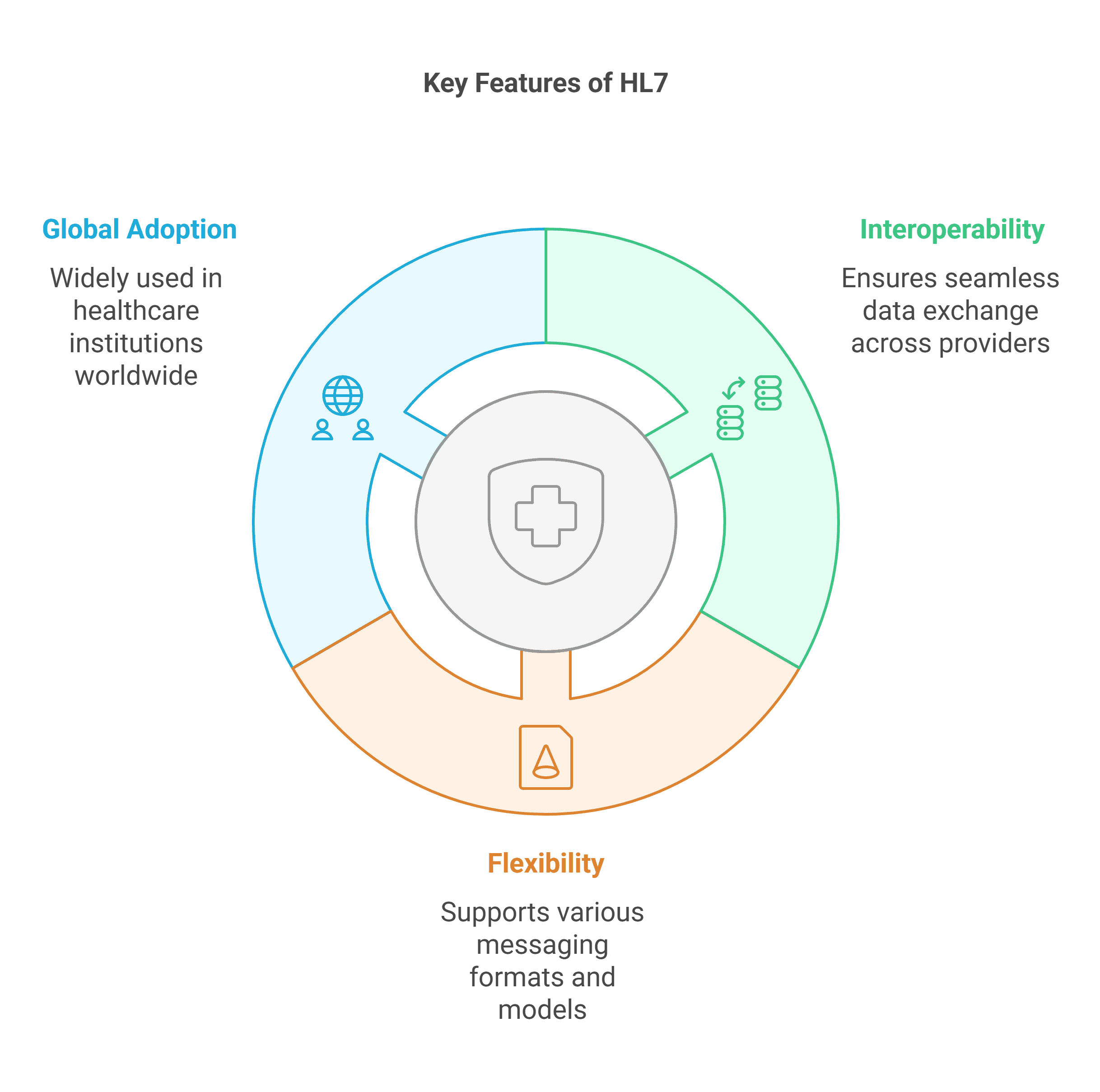 Key Features of HL7