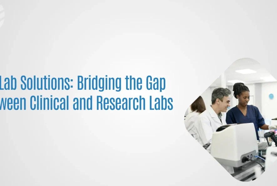 LIS Lab Solution