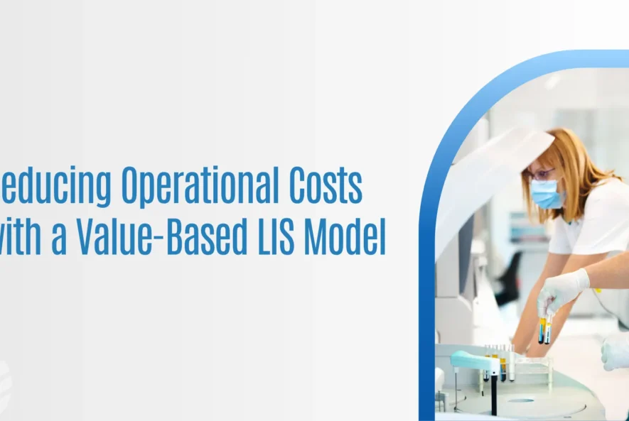 LIS-System-Model